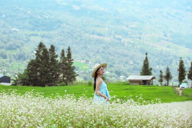 Ngắm thảo nguyên Suôi Thầu đẹp như tranh vào mùa tam giác mạch