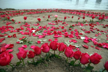 Màn tỏ tình bằng 600 bông hồng dưới cầu Long Biên