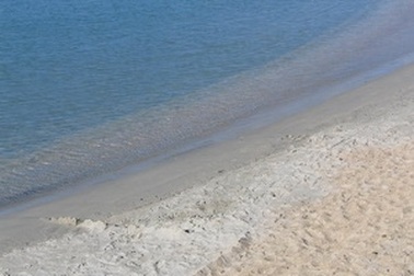 Dừng xuất khẩu cát nhiễm mặn từ tháng 6/2010