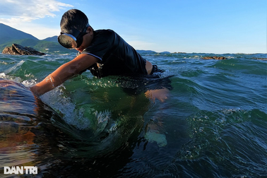 Theo chân ngư dân đội sóng, ngụp lặn làm nghề "lơ ngơ là lên bàn thờ"