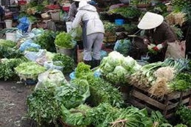 Ăn rau sống, mực khô - Ranh giới an toàn mong manh