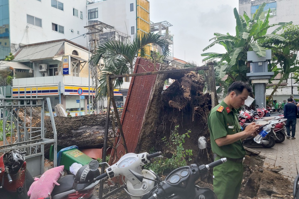 Vụ cây lớn bật gốc trước cổng trường: 7 người gặp nạn, thai phụ nguy kịch - 3 Vụ cây lớn bật gốc trước cổng trường: 7 người gặp nạn, thai phụ nguy kịch - 3