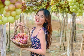 Làm giàu từ du lịch nông nghiệp tại Khánh Hoà