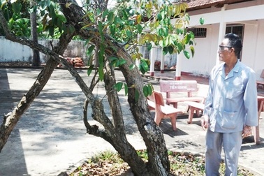 Thăm Phủ thờ Bác nơi đất mũi Cà Mau   