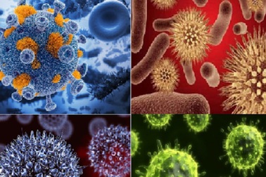 Những căn bệnh nguy hiểm nhất con người từng đối mặt trong quá khứ