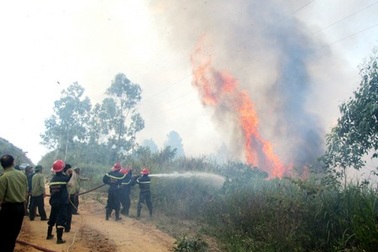 Thành lập Sở Cảnh sát PCCC TP Đà Nẵng