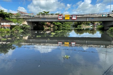 Những dòng kênh đen "hôi chịu không nổi"