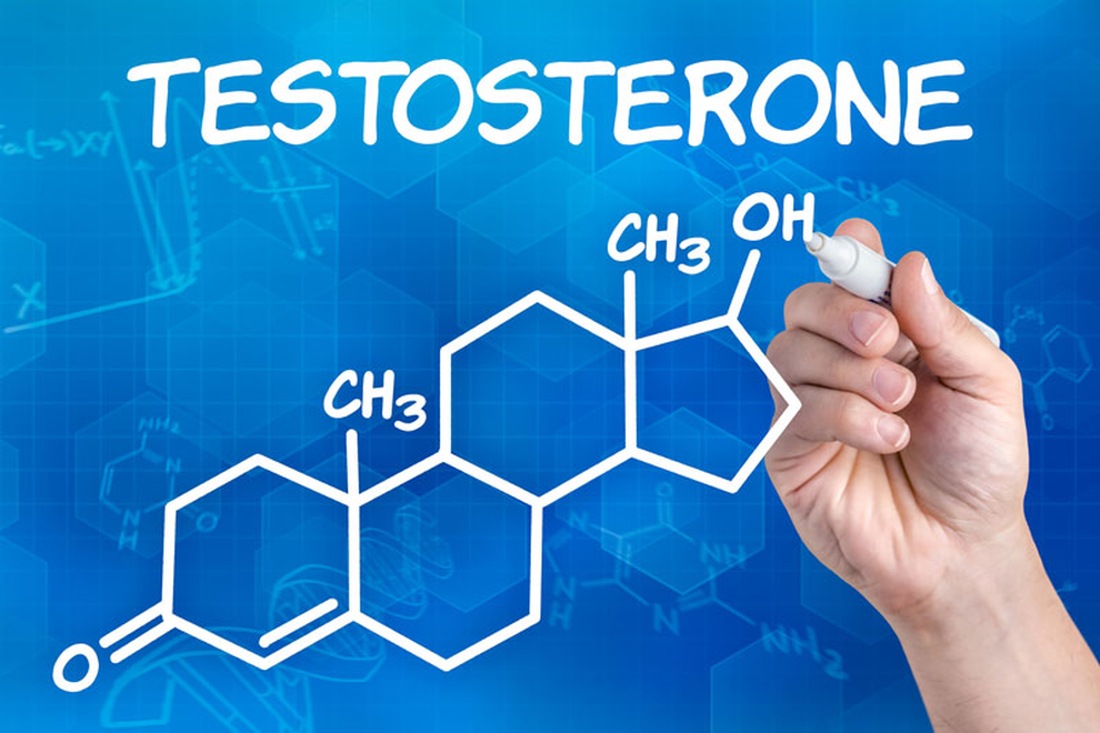Testosterone cao có giúp nam giới thành công hơn? - 1 Testosterone cao có giúp nam giới thành công hơn? - 1