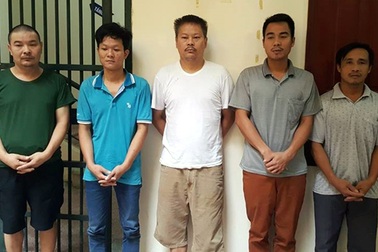 Vận chuyển cá thể hổ nặng 200kg ra Hà Nội để nấu cao