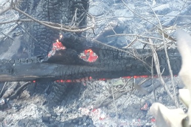 Núi Bà Hỏa… bốc hỏa