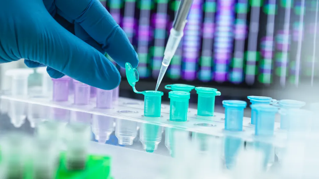 DNA và vai trò trong việc xác định nạn nhân của thảm họa hàng loạt - 1 DNA và vai trò trong việc xác định nạn nhân của thảm họa hàng loạt - 1