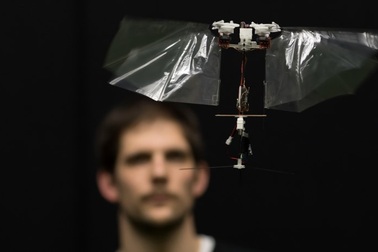 Rô bốt bay tiết lộ bí mật về thế giới trên không của côn trùng