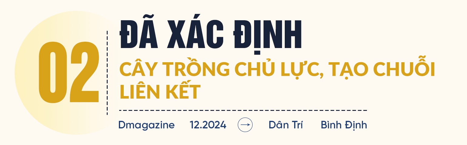 Hội nghị Diên Hồng về sản xuất nông nghiệp ở Bình Định - 7 Hội nghị Diên Hồng về sản xuất nông nghiệp ở Bình Định - 7