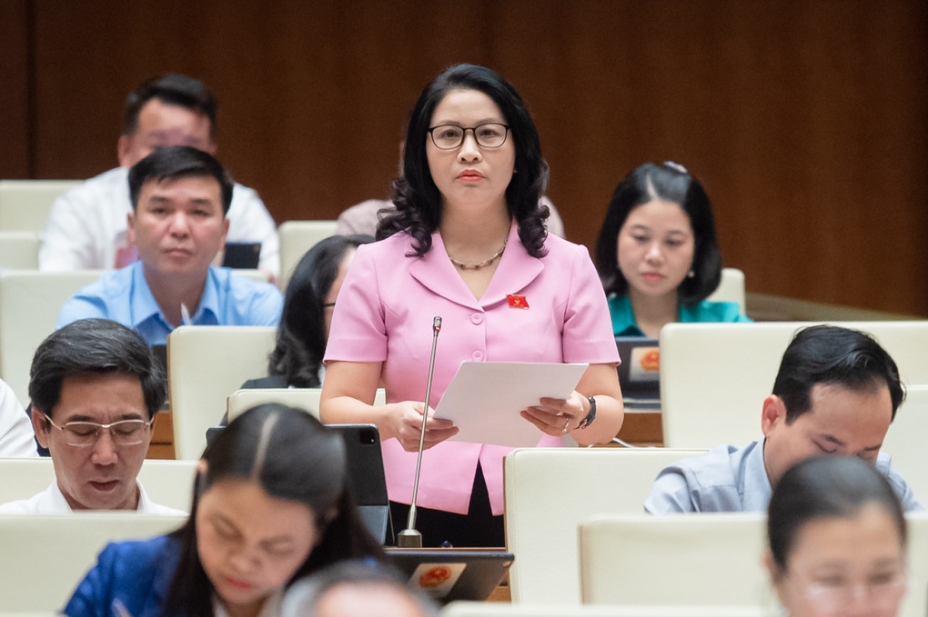 Người trong cuộc muốn xem xét tính hiệu quả của hội đồng trường - 2