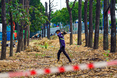 TPHCM cần phủ xanh thế nào khi hàng nghìn cây đã "hy sinh" cho dự án?
