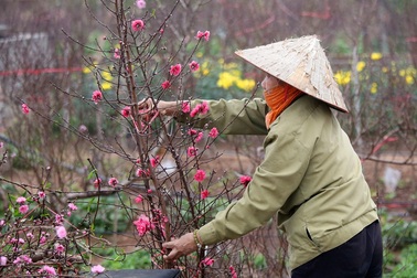 Lịch nghỉ Tết 2022: Tổng Liên đoàn lao động đồng thuận đề xuất nghỉ 9 ngày