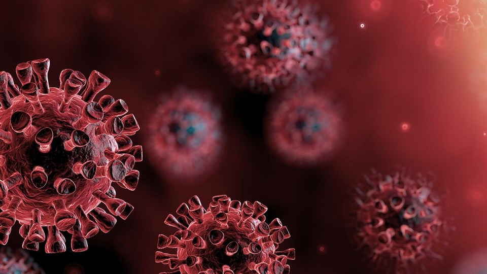 8 ngày sau hồi phục, bệnh nhân COVID-19 vẫn có thể mang virus - 1 8 ngày sau hồi phục, bệnh nhân COVID-19 vẫn có thể mang virus - 1