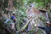 Nữ giáo viên tử vong bất thường trong rừng, nghi phạm là người cùng trường