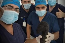 Bác sĩ lấy búi tóc nặng 6 kg ra khỏi bụng cô gái trẻ