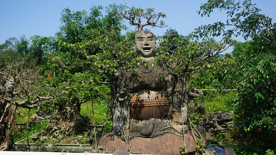 Khu vườn bỏ hoang toàn siêu cây bạc tỷ của đại gia nức tiếng một thời - 14 Khu vườn bỏ hoang toàn siêu cây bạc tỷ của đại gia nức tiếng một thời - 14