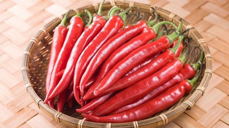 11 loại kháng sinh dễ kiếm hoàn toàn tự nhiên - 2 11 loại kháng sinh dễ kiếm hoàn toàn tự nhiên - 2