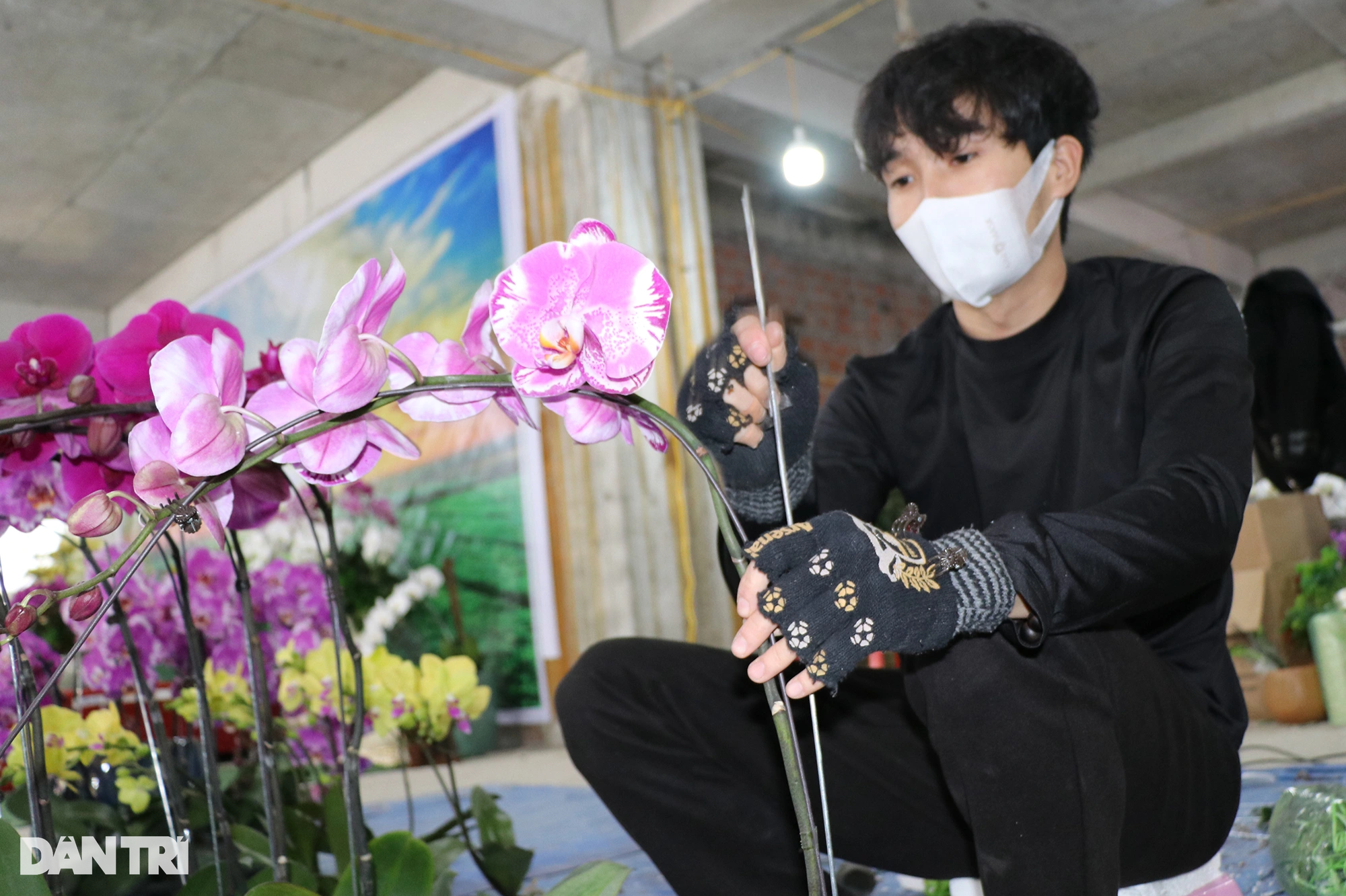 Đếm cành thu tiền, thợ cắm hoa lan kiếm 5-7 triệu đồng mỗi ngày - 4