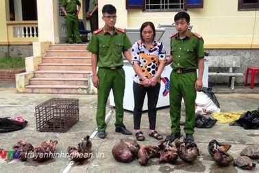 Bắt “nữ quái” tàng trữ nhiều cá thể khỉ quý hiếm