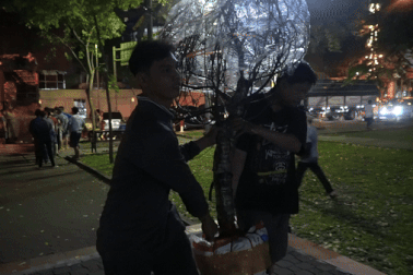 Xuyên đêm vận chuyển hoa về TPHCM dịp Tết Nguyên đán