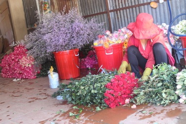 Hoa hồng tăng giá mạnh dịp Lễ tình nhân Valentine