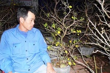 Trắng đêm… “canh” bon sai