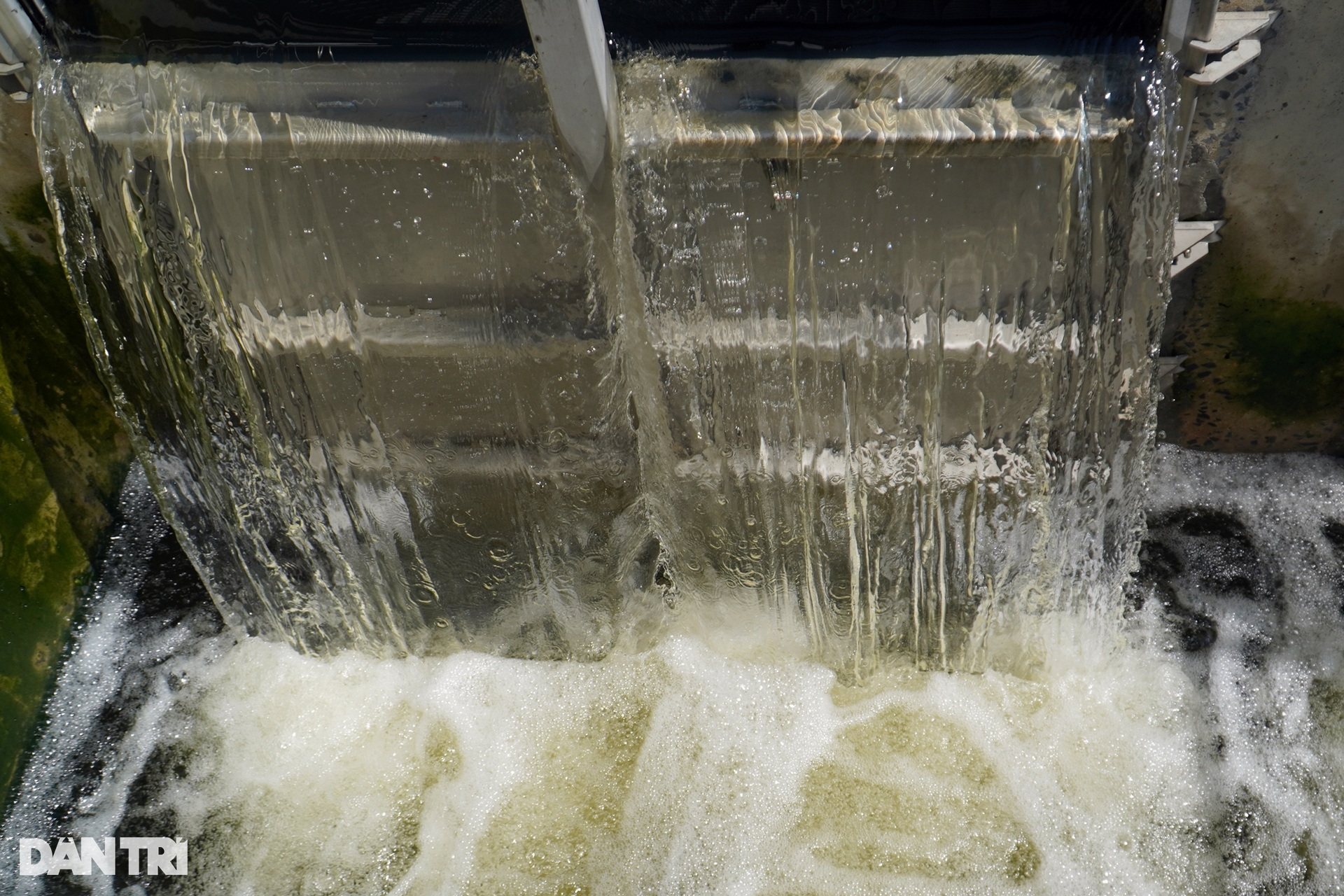 Bên trong nhà máy xử lý nước thải 300 tỷ đồng ở Nha Trang - 11 Bên trong nhà máy xử lý nước thải 300 tỷ đồng ở Nha Trang - 11