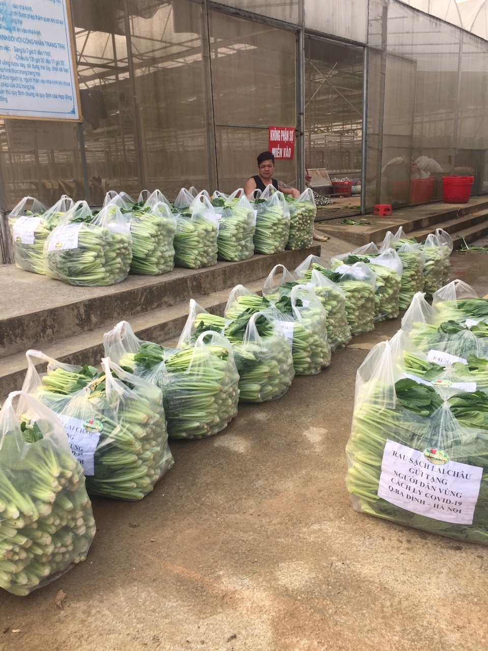 Chủ vườn ở Lai Châu “hái” 2 tấn rau ủng hộ người cách ly ở Hà Nội - 5 Chủ vườn ở Lai Châu “hái” 2 tấn rau ủng hộ người cách ly ở Hà Nội - 5