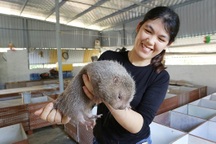 Mô hình nuôi dúi thoát nghèo ở miền Tây xứ Thanh