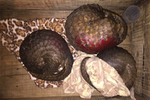 Bắt giữ 2 đối tượng vận chuyển, tàng trữ trái phép 13 cá thể tê tê