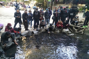 Hàng nghìn du khách chen chân đổ về suối cá thần cầu may dịp đầu năm mới