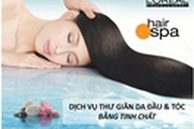 Làm gì để ngăn ngừa tình trạng da đầu khô, gàu và tóc rụng?