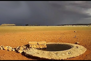 Mưa rơi trên sa mạc Namib