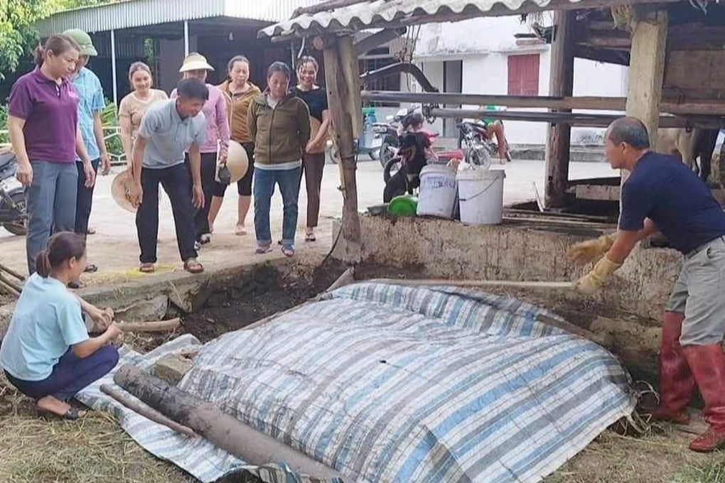 Nông dân kiếm thêm tiền lại bảo vệ môi trường từ những thứ bỏ đi trên ruộng - 2