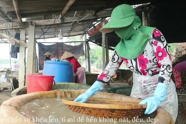 Làng hến Tân Phú tất bật vào mùa