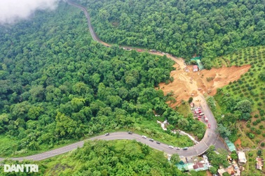 Hiểm họa sạt lở đất khi rừng bị tổn thương