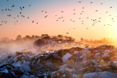 Nguy cơ gây biến đổi khí hậu từ những bãi chôn lấp rác thải