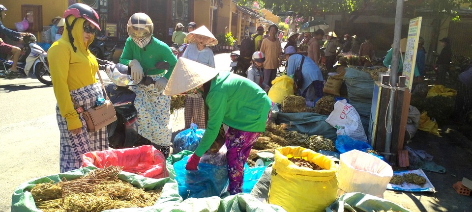 Mùa lá Mùng 5 ở xứ Quảng vào vụ - 5 Mùa lá Mùng 5 ở xứ Quảng vào vụ - 5