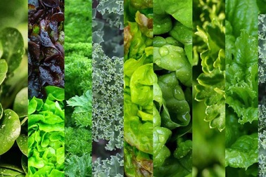 Ăn rau xanh hợp lý có thể giúp ngăn ngừa bệnh gan nhiễm mỡ