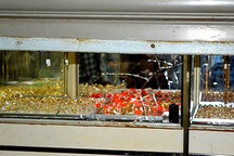 Truy tìm tang vật vụ dùng súng cướp tiệm vàng trong mưa