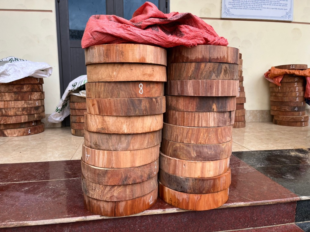 Vận chuyển gỗ trái phép còn lao xe máy vào cảnh sát - 3 Vận chuyển gỗ trái phép còn lao xe máy vào cảnh sát - 3
