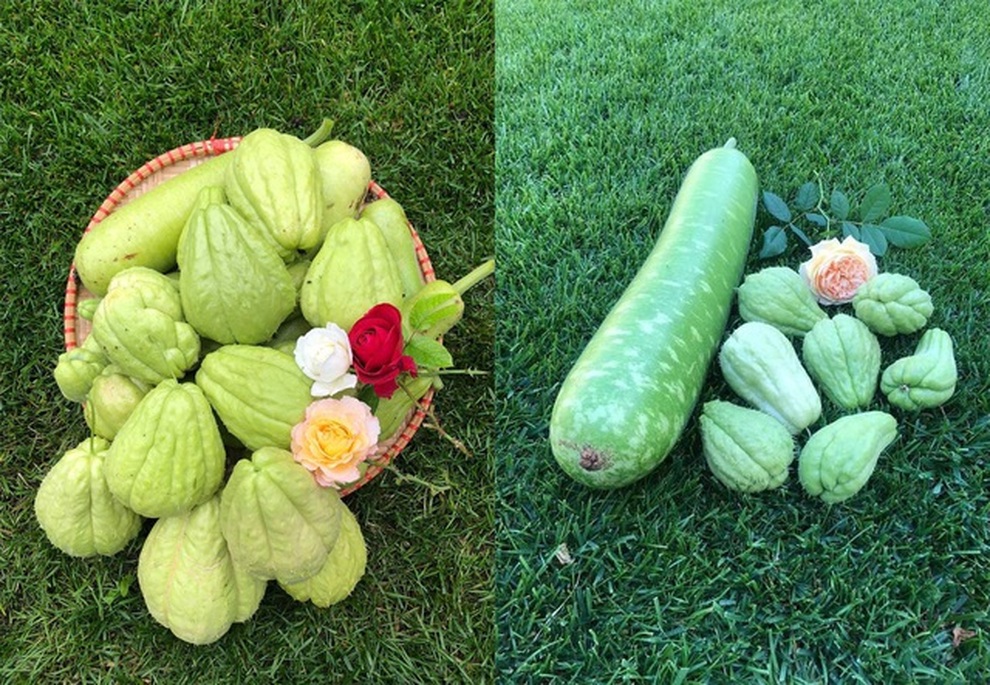 Những khu vườn sum suê rau, trái của các ông bố Việt ở trời Tây - 13 Những khu vườn sum suê rau, trái của các ông bố Việt ở trời Tây - 13