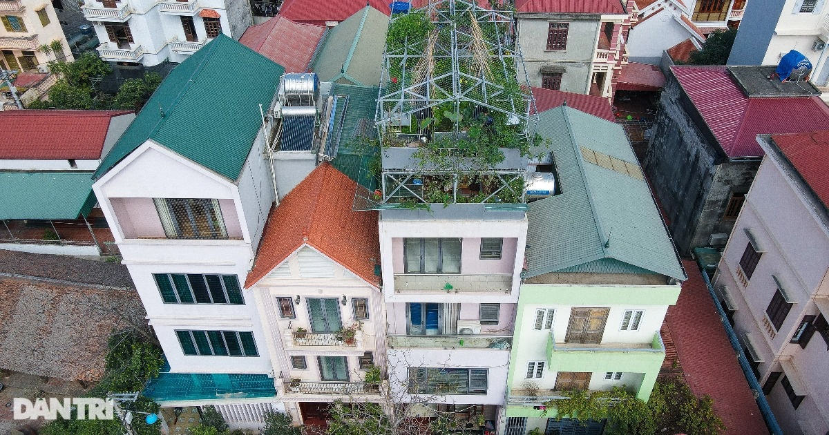 Vườn lười của gia đình ở Hà Nội: Gà đầy chuồng, cá, lươn bơi tung tăng - 1 Vườn lười của gia đình ở Hà Nội: Gà đầy chuồng, cá, lươn bơi tung tăng - 1