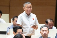 "Sạt lở, lũ lụt khắp mọi miền đất nước, phải đặc biệt lưu tâm bảo vệ rừng"