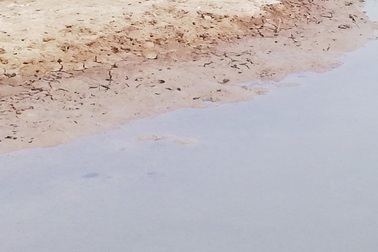 Phát hiện xương nghi là hài cốt người trong vuông tôm