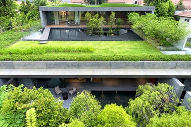 Cặp đôi đổ đất trồng cây xanh như công viên trên sân thượng biệt thự phố